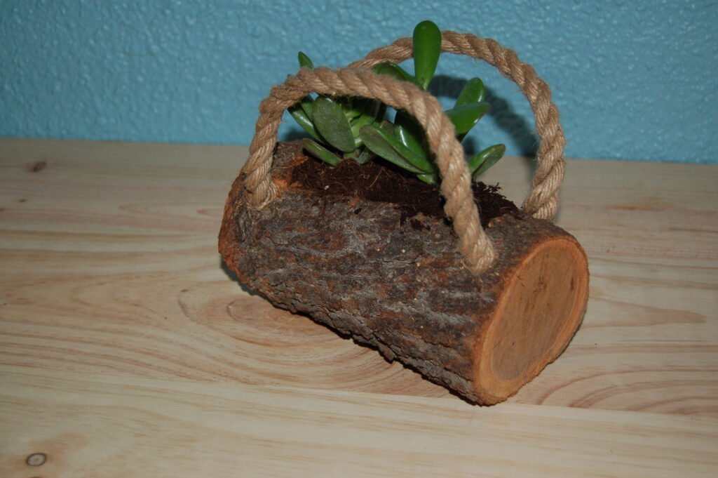 Log handbag