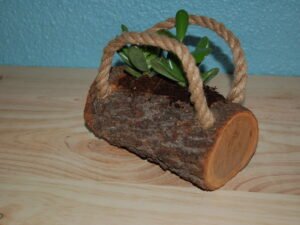 Handbag planter