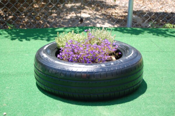 Tyre Planter - Image 7