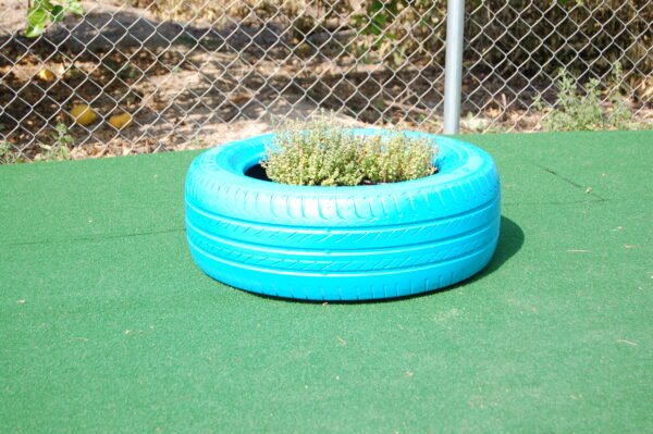 Tyre Planter - Image 8